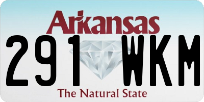 AR license plate 291WKM