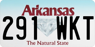 AR license plate 291WKT