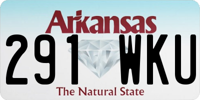 AR license plate 291WKU