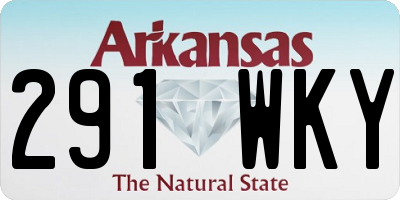 AR license plate 291WKY