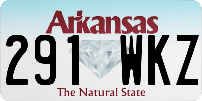 AR license plate 291WKZ
