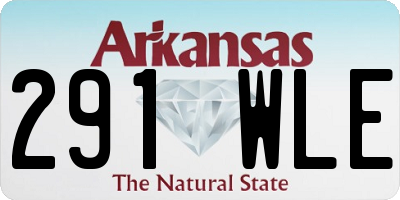 AR license plate 291WLE