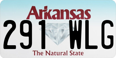 AR license plate 291WLG