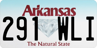 AR license plate 291WLI