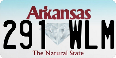 AR license plate 291WLM