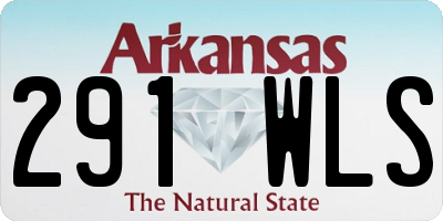 AR license plate 291WLS