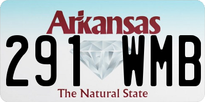 AR license plate 291WMB