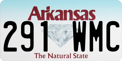 AR license plate 291WMC