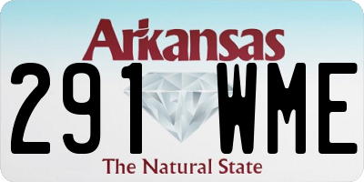 AR license plate 291WME