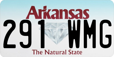 AR license plate 291WMG