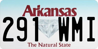 AR license plate 291WMI