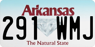 AR license plate 291WMJ