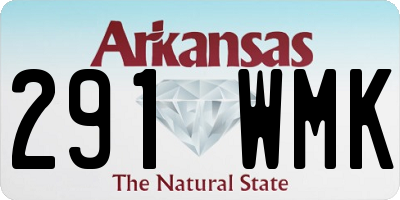 AR license plate 291WMK