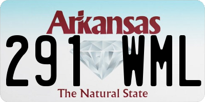 AR license plate 291WML