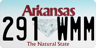 AR license plate 291WMM