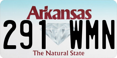 AR license plate 291WMN