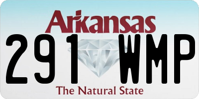 AR license plate 291WMP