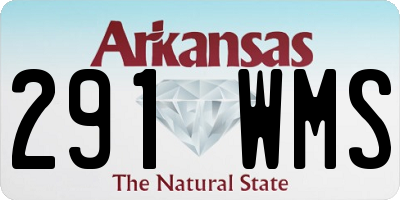 AR license plate 291WMS