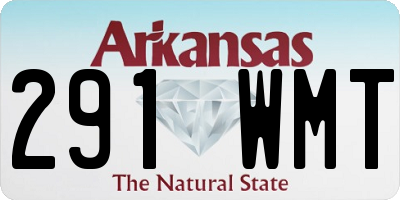 AR license plate 291WMT