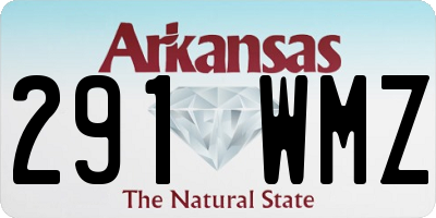 AR license plate 291WMZ