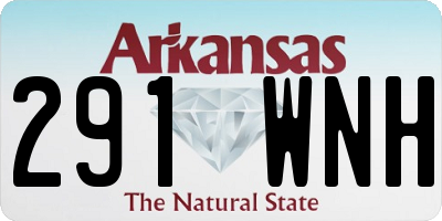 AR license plate 291WNH