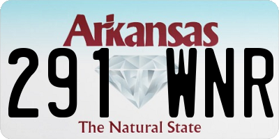 AR license plate 291WNR