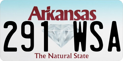 AR license plate 291WSA