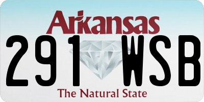 AR license plate 291WSB