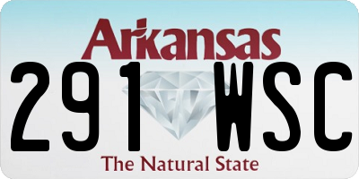 AR license plate 291WSC