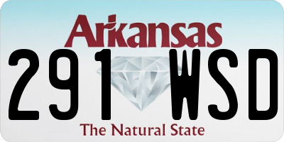 AR license plate 291WSD