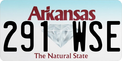 AR license plate 291WSE