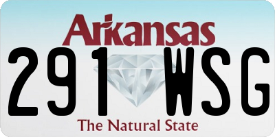 AR license plate 291WSG