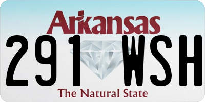 AR license plate 291WSH