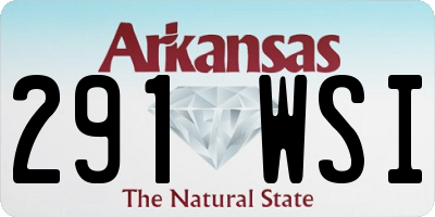 AR license plate 291WSI