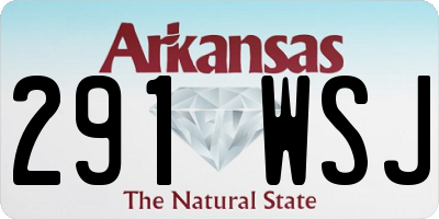 AR license plate 291WSJ