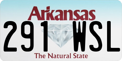 AR license plate 291WSL