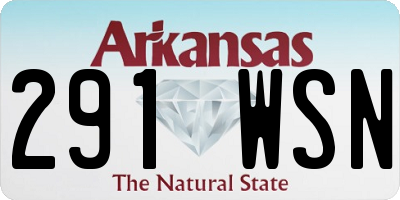 AR license plate 291WSN