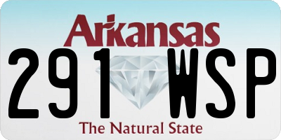 AR license plate 291WSP
