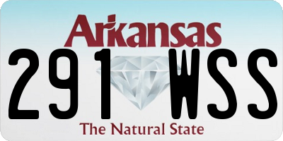 AR license plate 291WSS