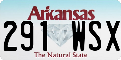 AR license plate 291WSX