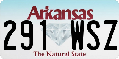 AR license plate 291WSZ