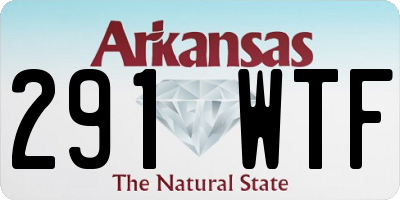 AR license plate 291WTF