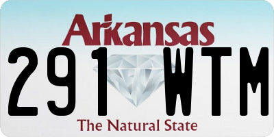 AR license plate 291WTM
