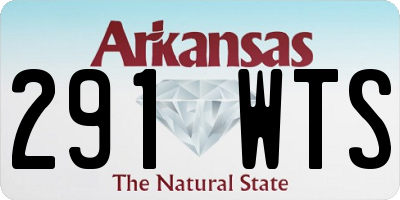 AR license plate 291WTS