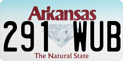 AR license plate 291WUB