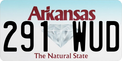 AR license plate 291WUD