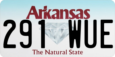 AR license plate 291WUE