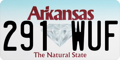 AR license plate 291WUF