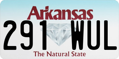 AR license plate 291WUL