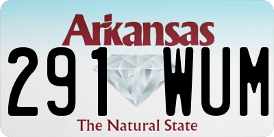 AR license plate 291WUM